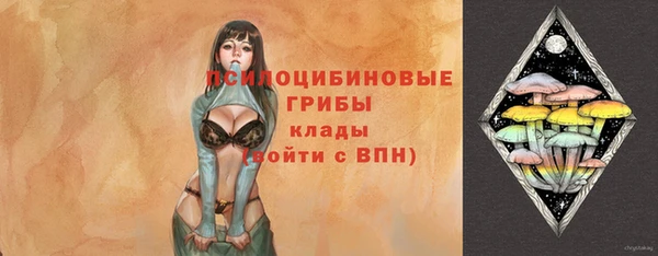 твердый Елизово