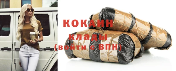 кокс Ельня