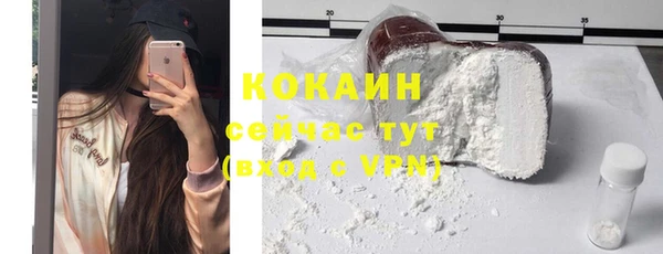 кокс Ельня