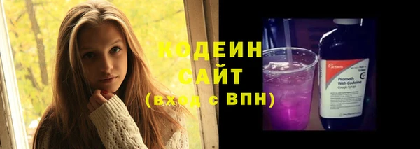 твердый Елизово