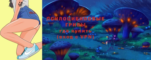 твердый Елизово