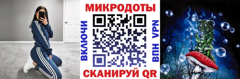 Купить закладки  Когалым  Псилоцибиновые грибы Psilocybe 